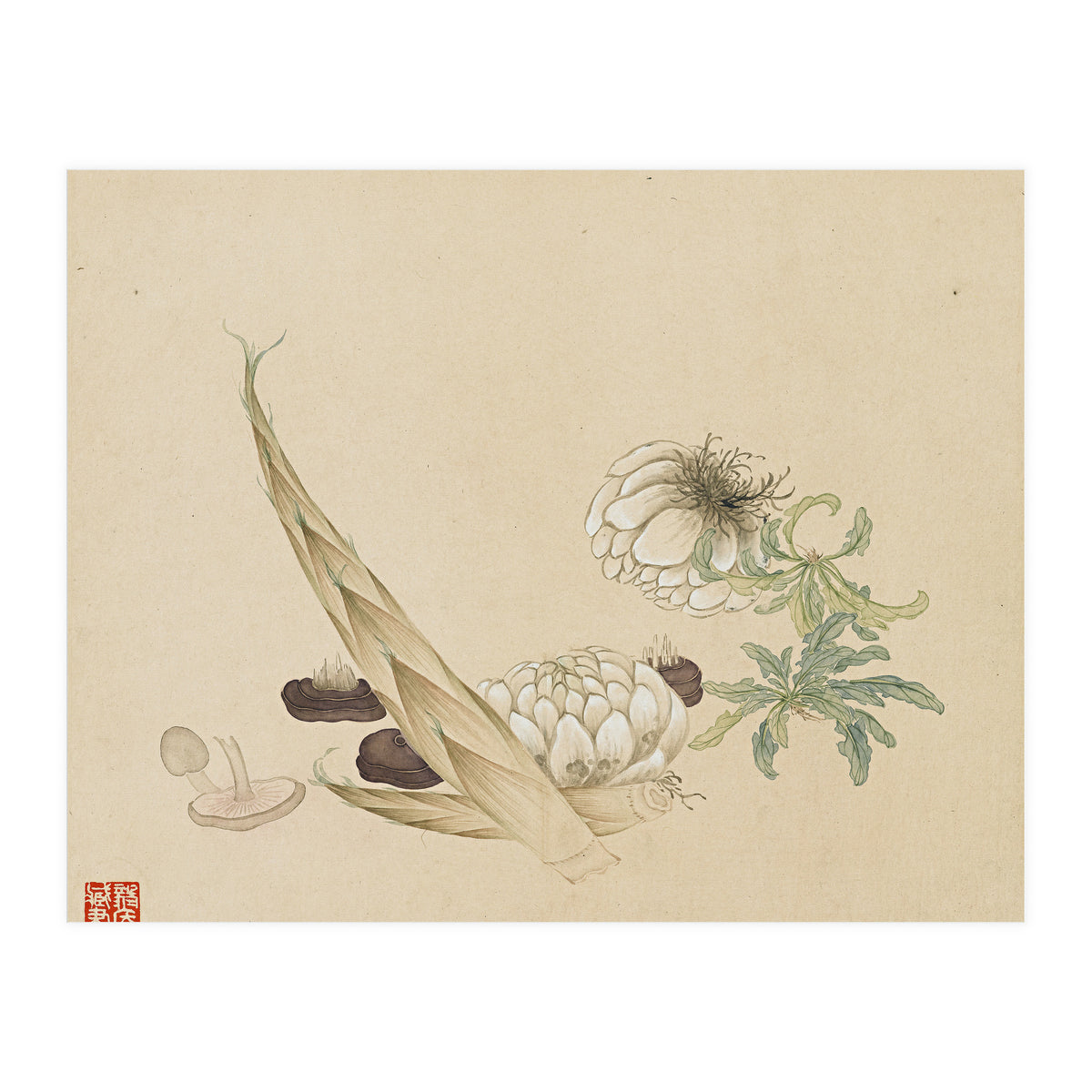 Wang Chengyu ~flowers, Vegetables, Lilies, Bamboo Shoots, Leaves, Mushrooms, Vegetables (Print Only)