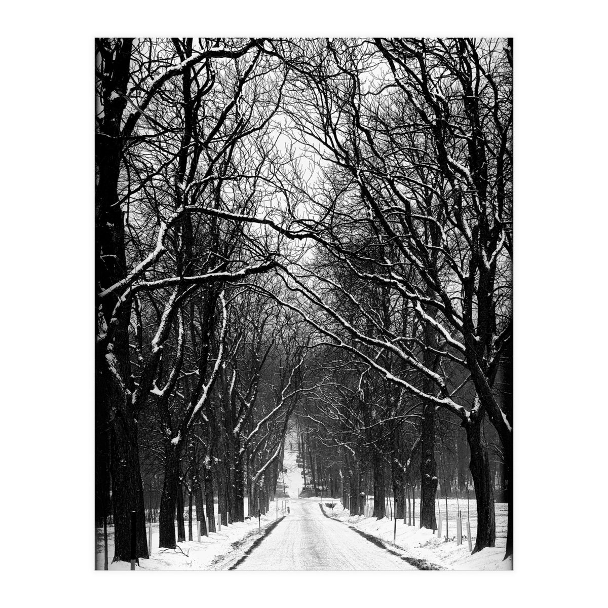 Winterly alley (Print Only)