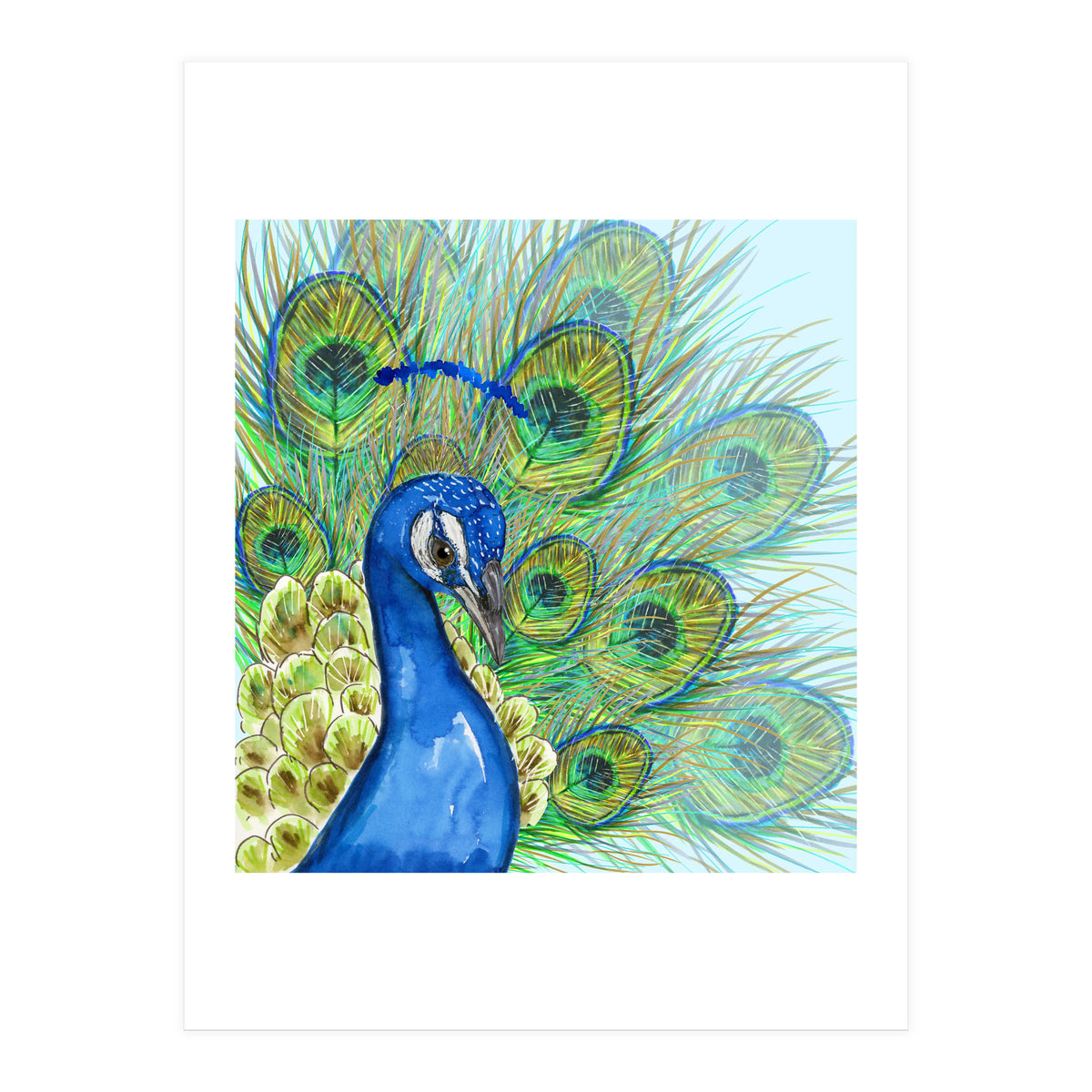 Peacock portrait (Print Only)