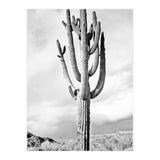Loner (Print Only) thumbnail