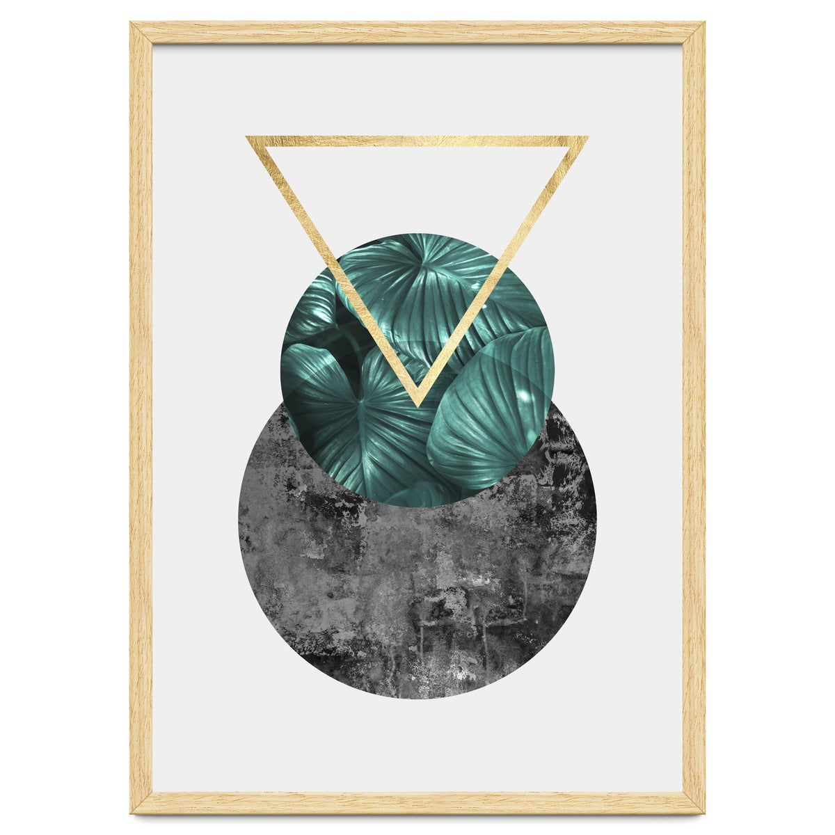 Botanical and geometric I