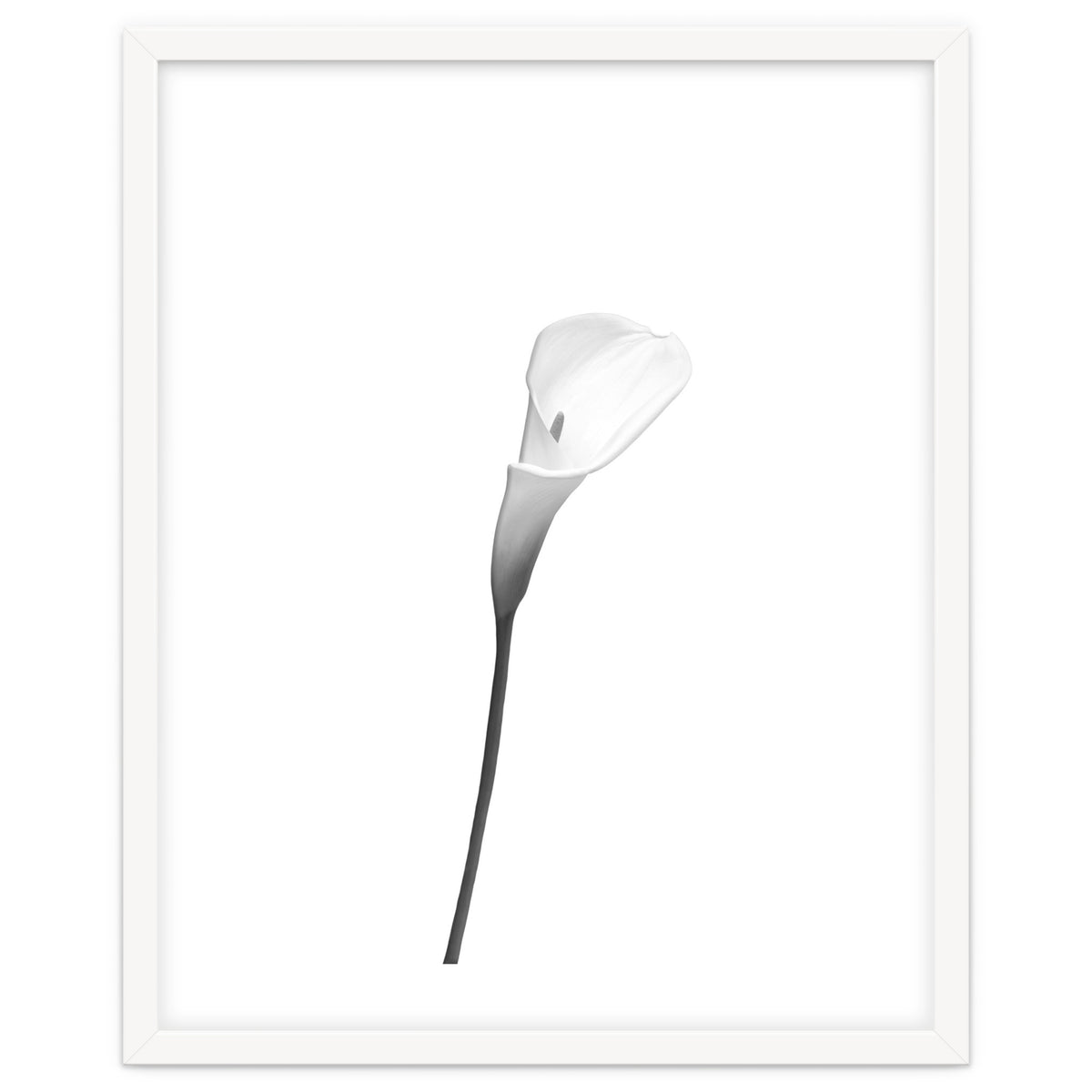 Calla | bright design