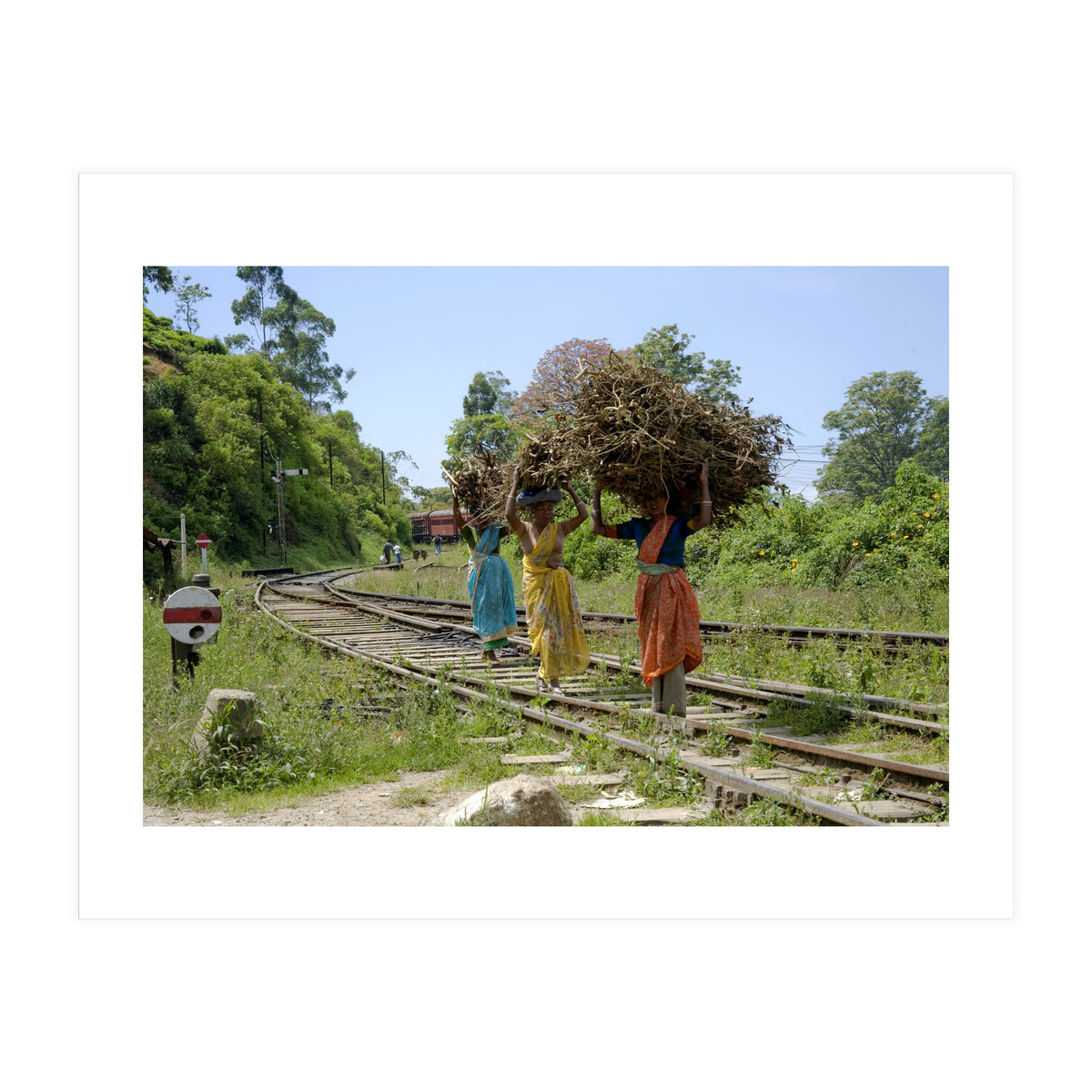 Nuwara Eliya, Sri Lanka (Print Only)