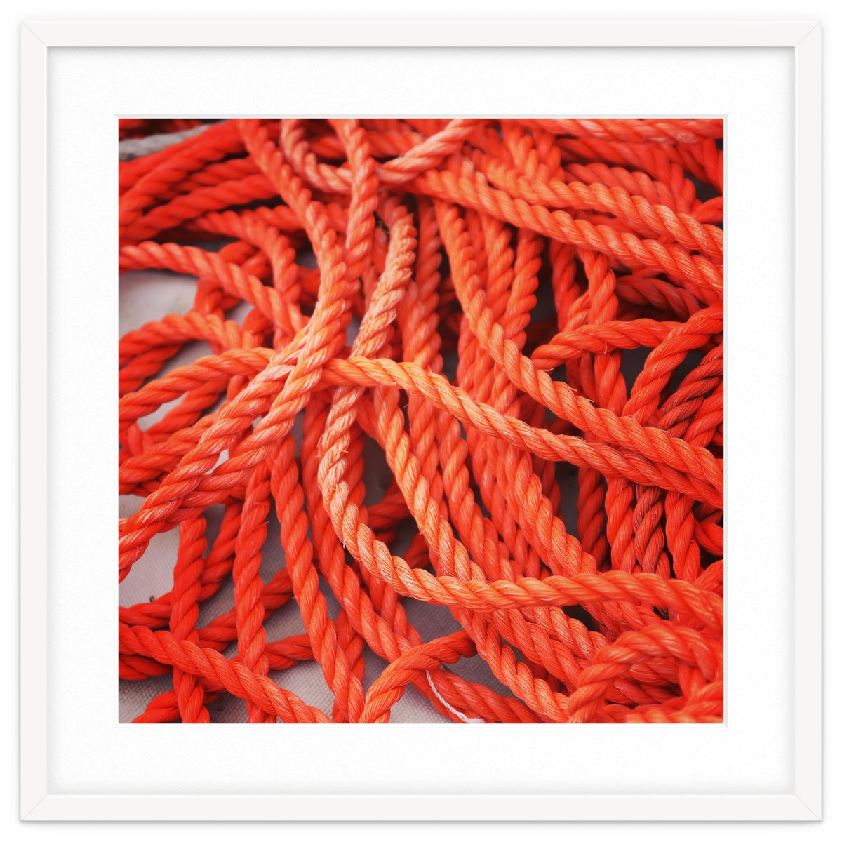 Orange ropes