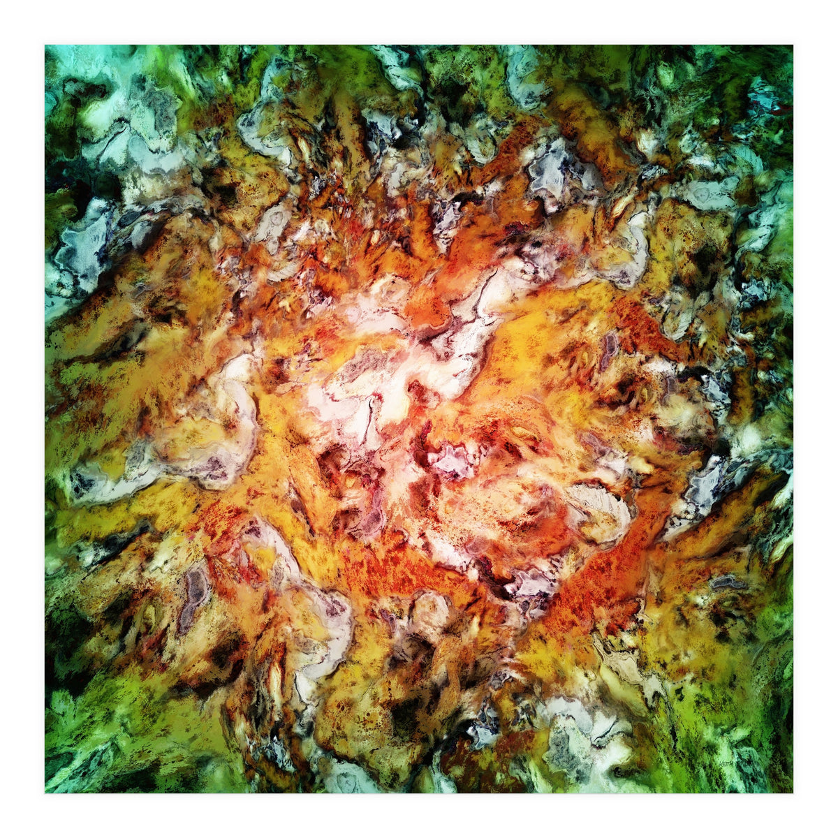 The Natural Light (Print Only)