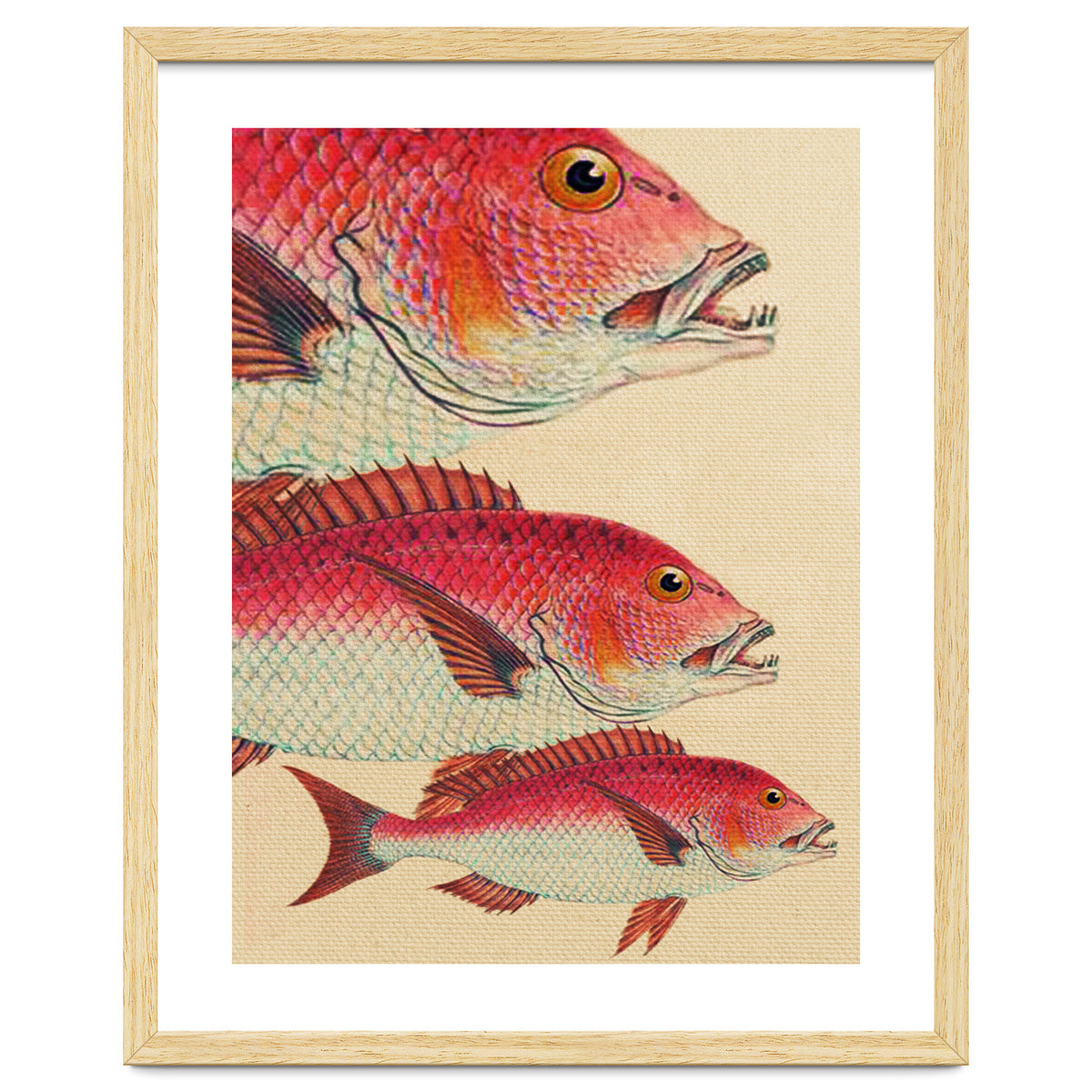 Fish Classic Designs 7