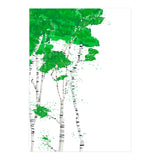 Birch forest (Print Only) thumbnail