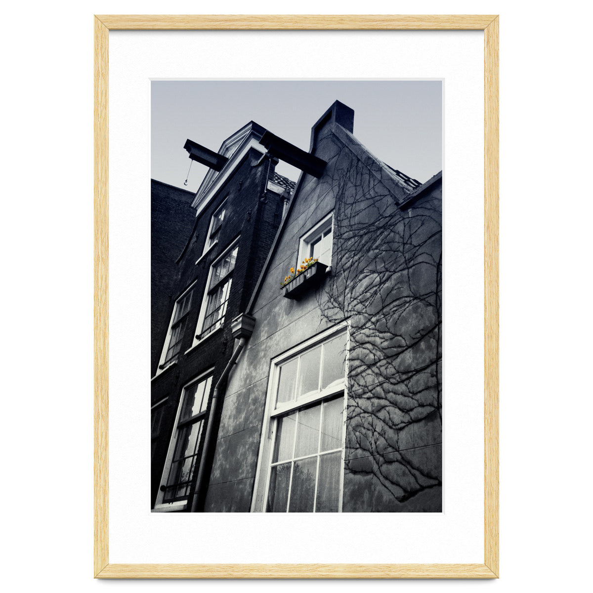 Amsterdam. House With Yellow Flowers.