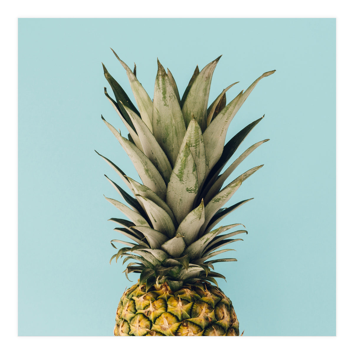 Pineapple On Blue Background (Print Only)
