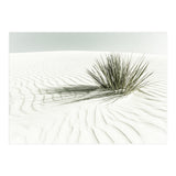 WHITE SANDS Idyllic scenery | Vintage (Print Only) thumbnail