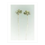 Vintage Palm Trees  (Print Only) thumbnail
