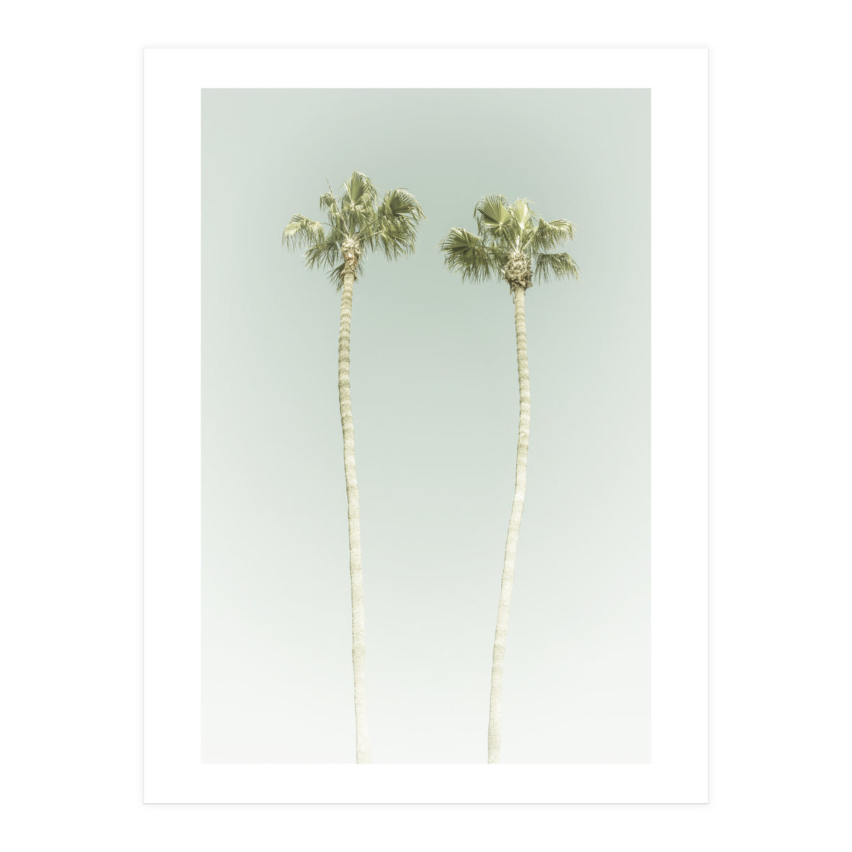 Vintage Palm Trees  (Print Only)