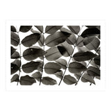 Branches and Leaves I (Print Only) thumbnail