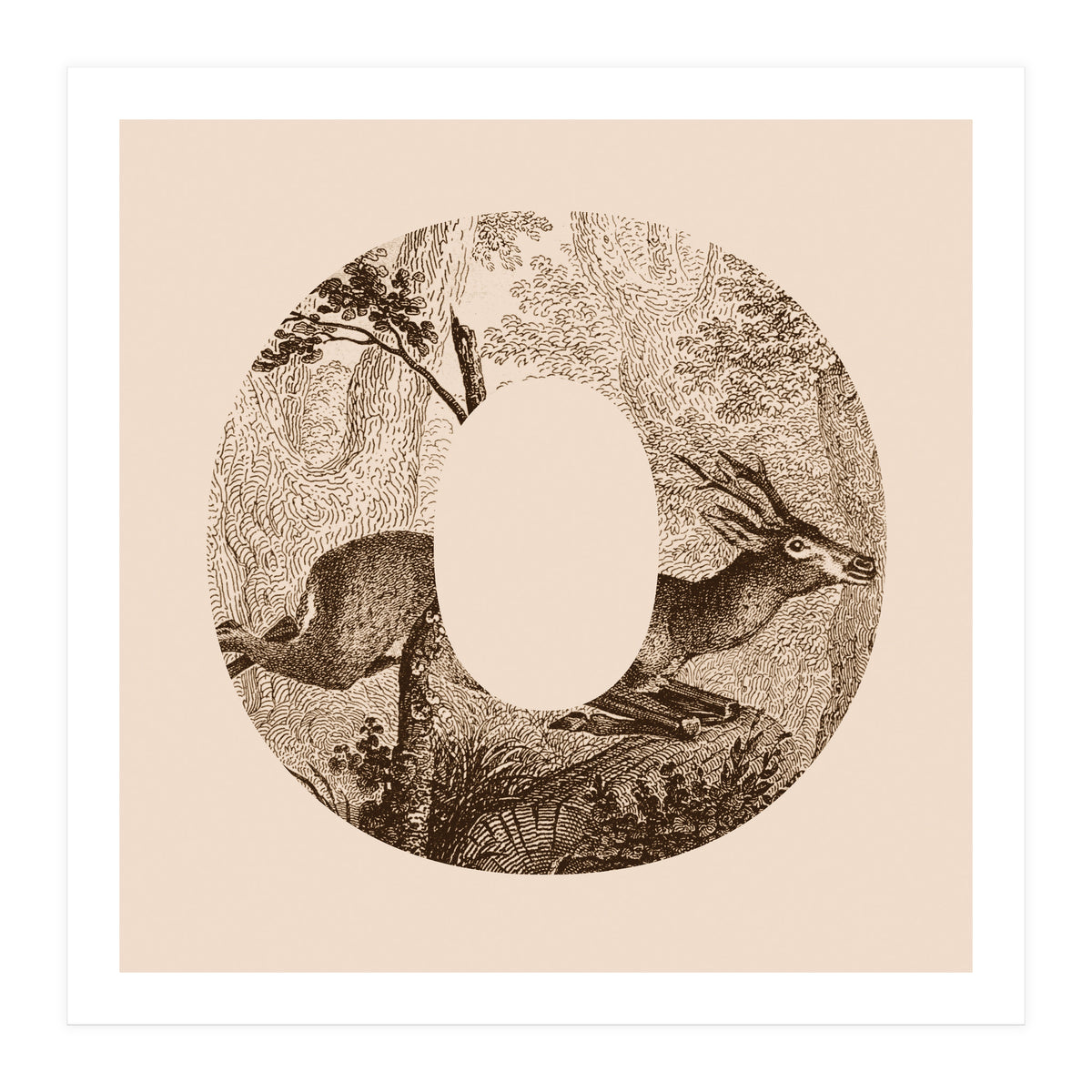 Oh Deer (Print Only)