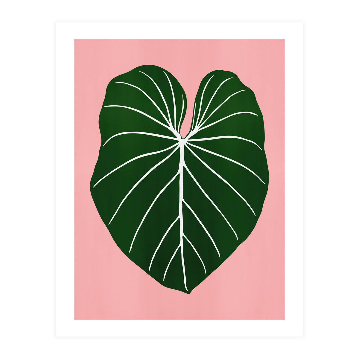 Leaf 05 (Print Only)