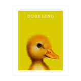 Duckling (Print Only) thumbnail