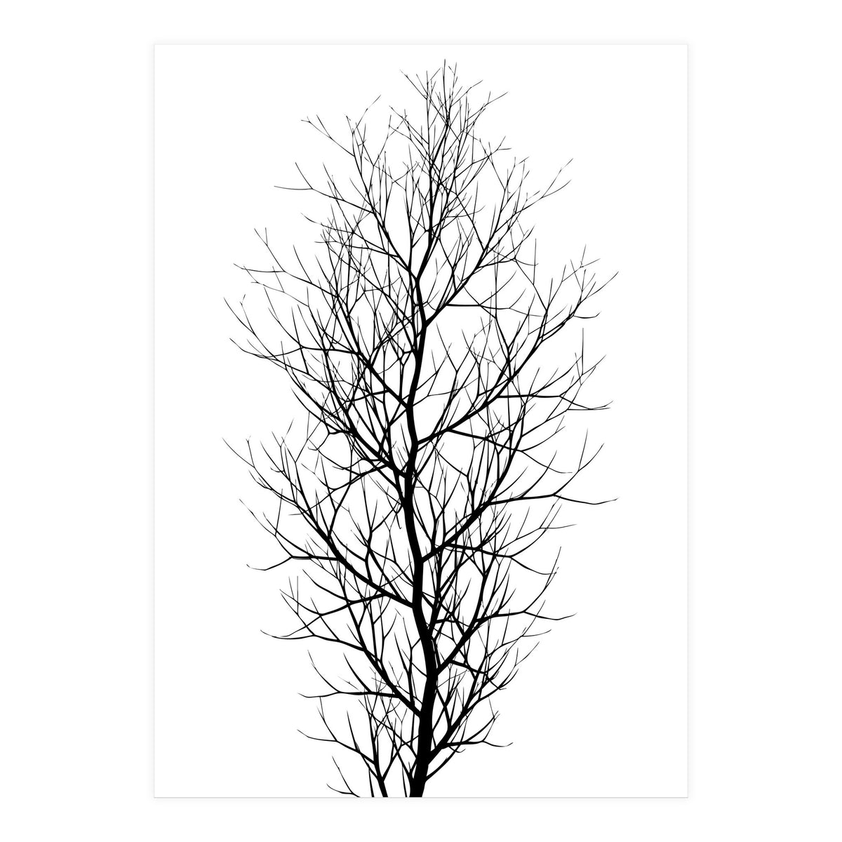 The Tree Black (Print Only)