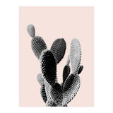 50 (Print Only) thumbnail