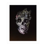 Metamorphosis  (Print Only) thumbnail