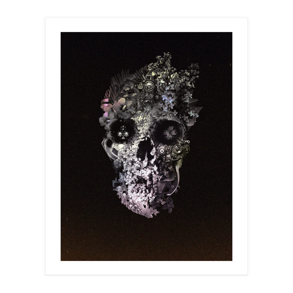 Metamorphosis  (Print Only)