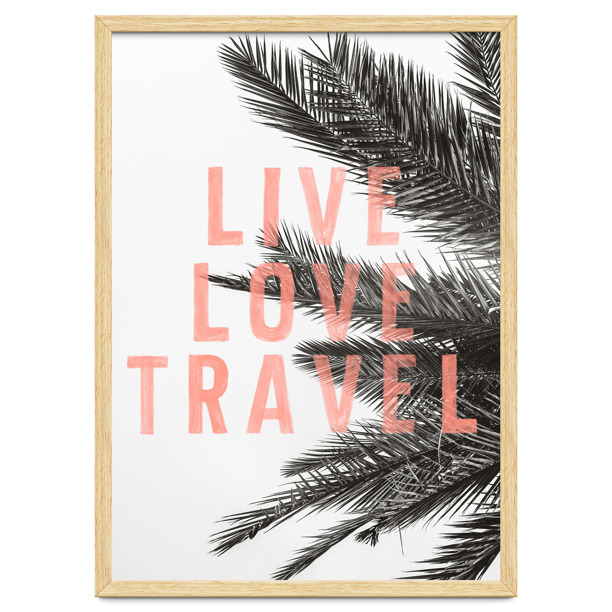 Live Love Travel