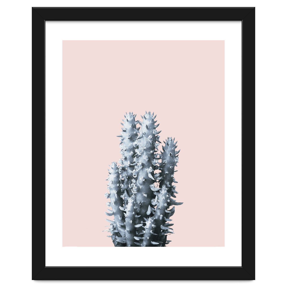 Cactus collection BL-III