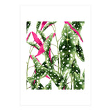 Happiness Is...buying Plants (Print Only) thumbnail