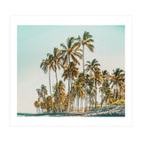 Island Life III (Print Only) thumbnail