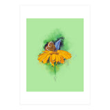 Butterfly 4 (Print Only) thumbnail