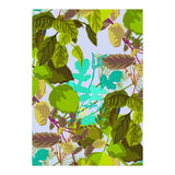 Herbs II (Print Only) thumbnail