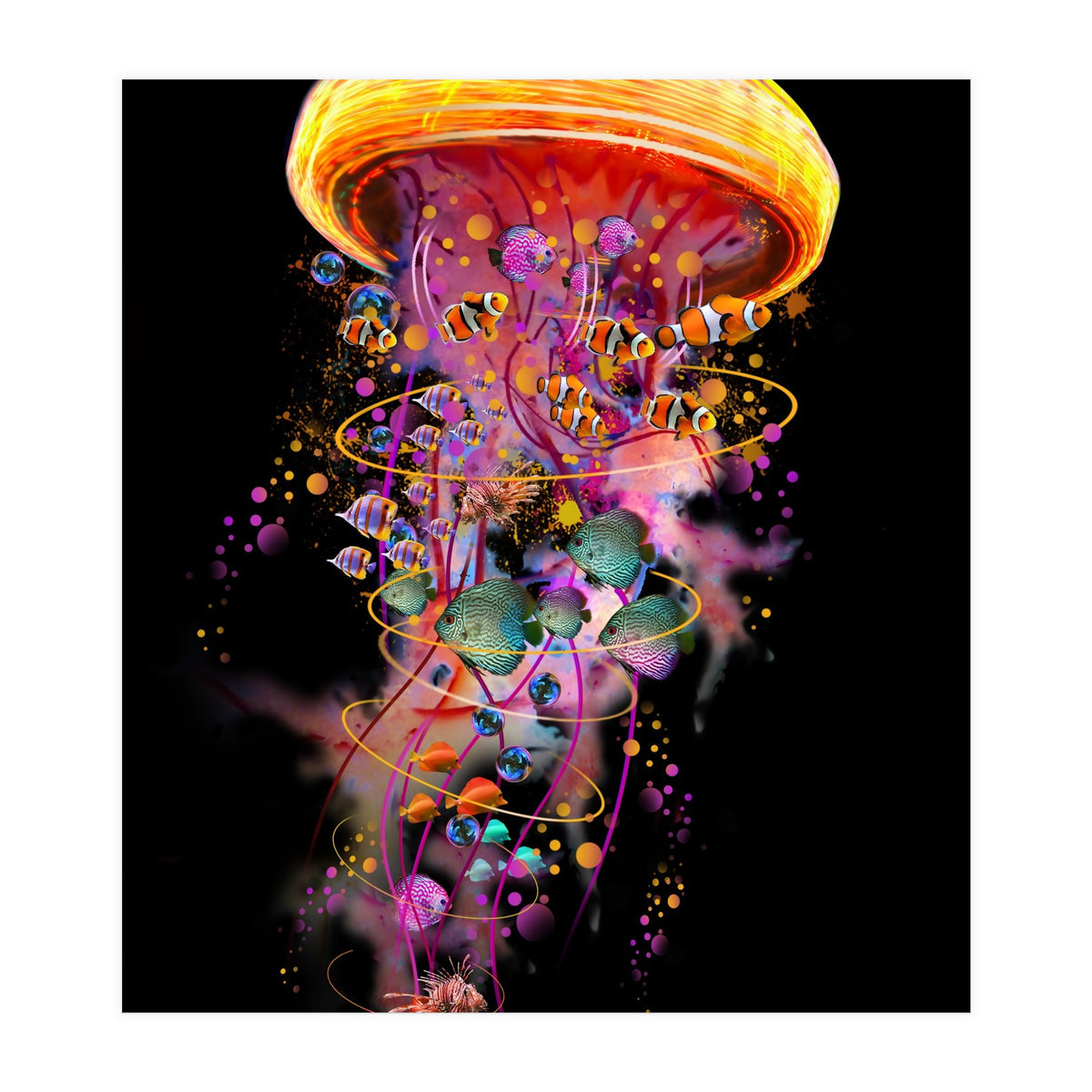 Jelly Fish Ride Summer2018 Dbh (Print Only)