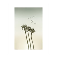 Vintage palm trees at sunset (Print Only)