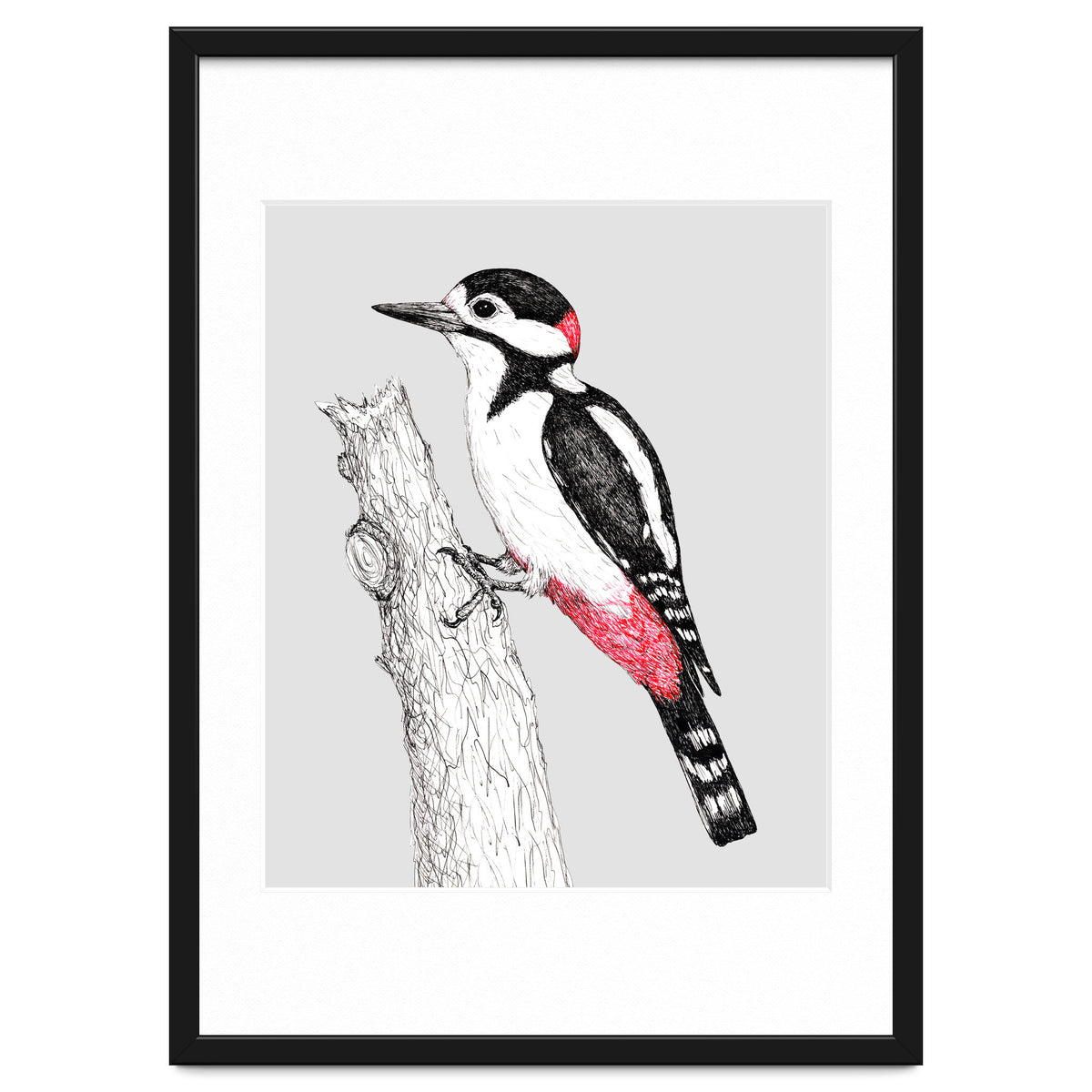 Great spotted woodpecker