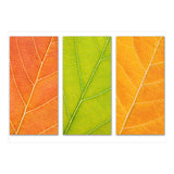 Autumn Leaves (Print Only) thumbnail