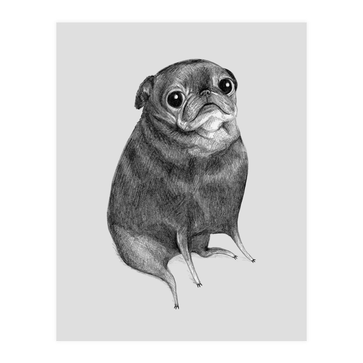 Sweet Black Pug (Print Only)