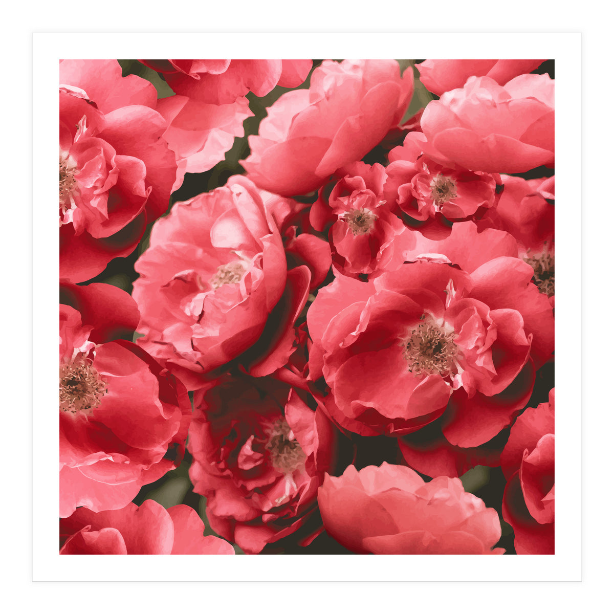 Christina (Print Only)