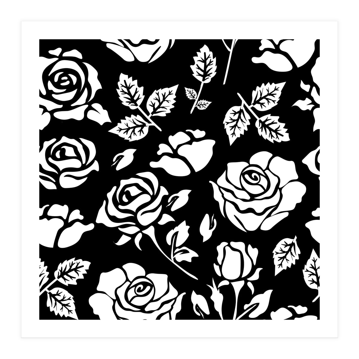 White Rose (Print Only)