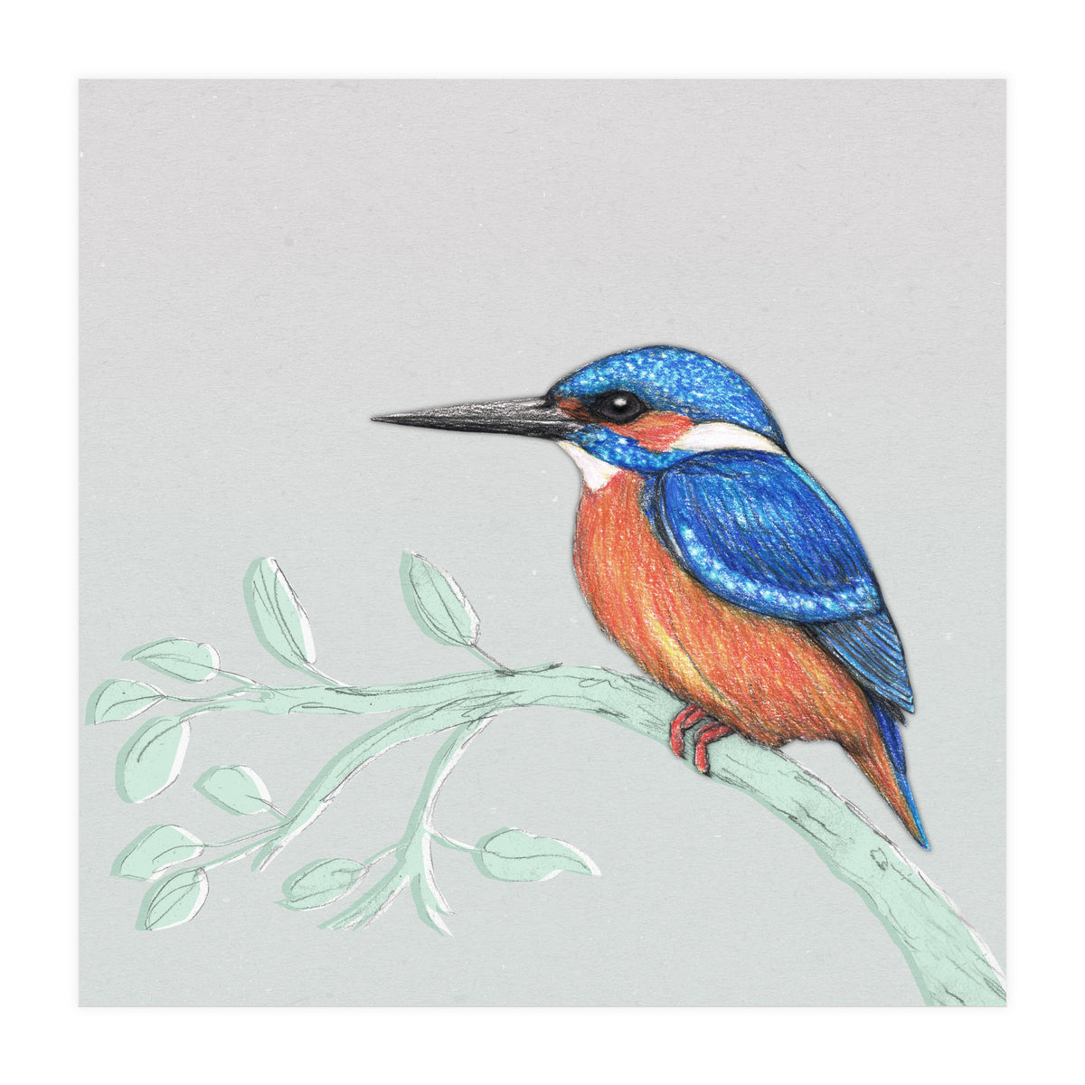 The kingfisher (Print Only)