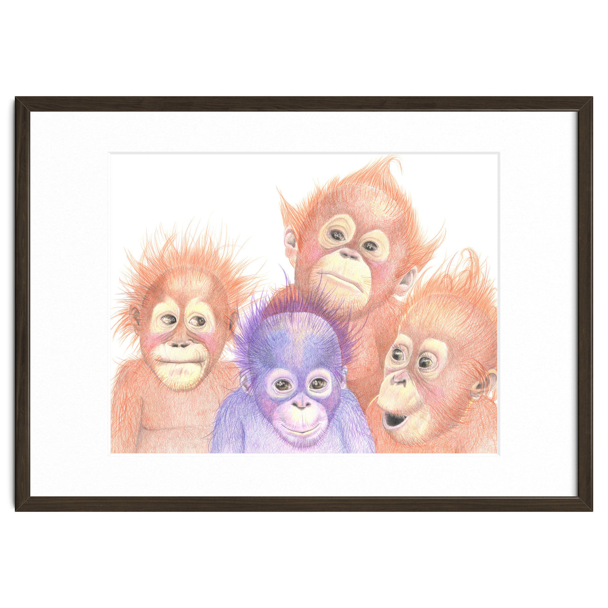 Orangutan Babies