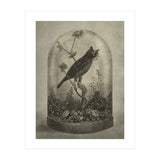 The Curiosity (Print Only) thumbnail