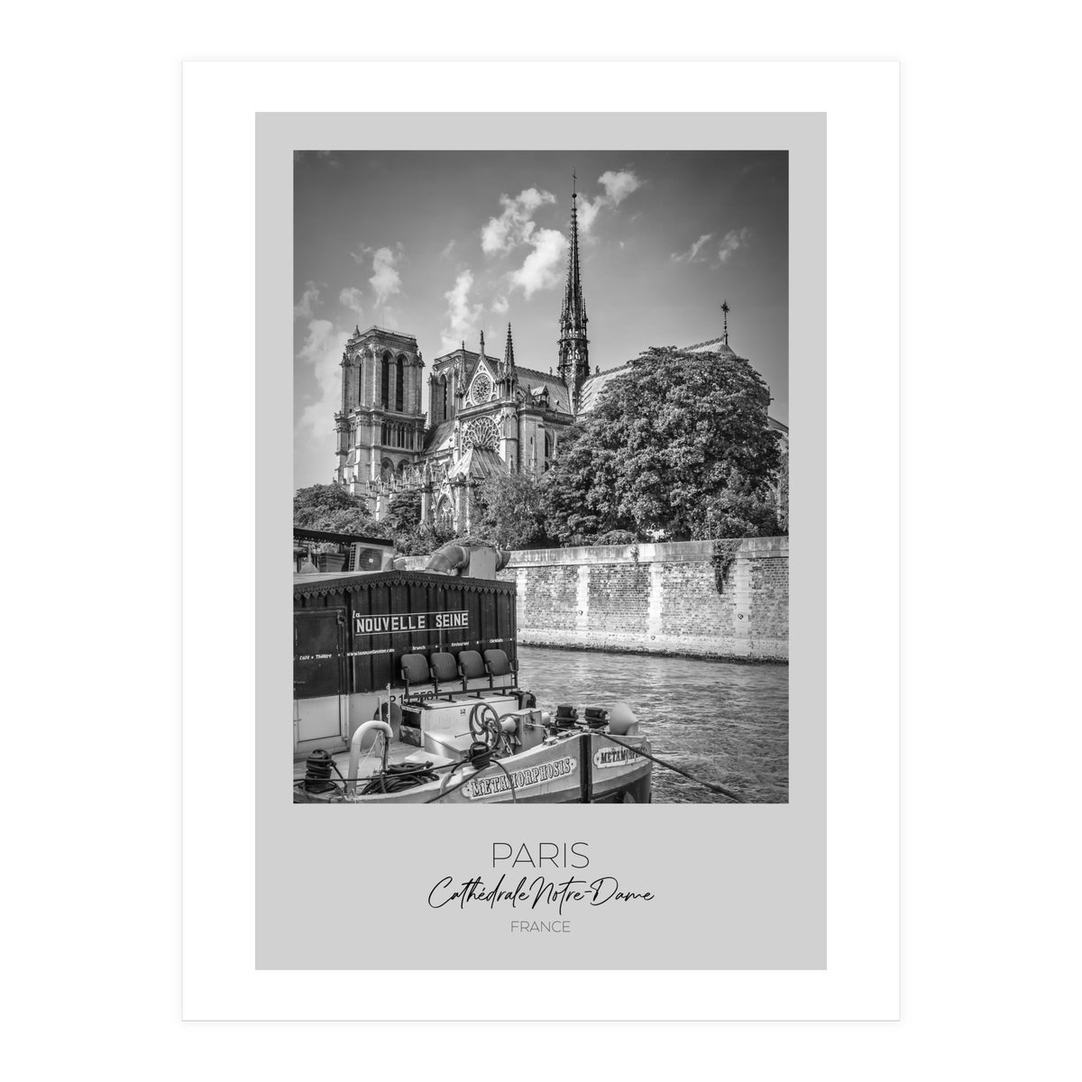 In focus: PARIS Cathedral Notre-Dame  (Print Only)