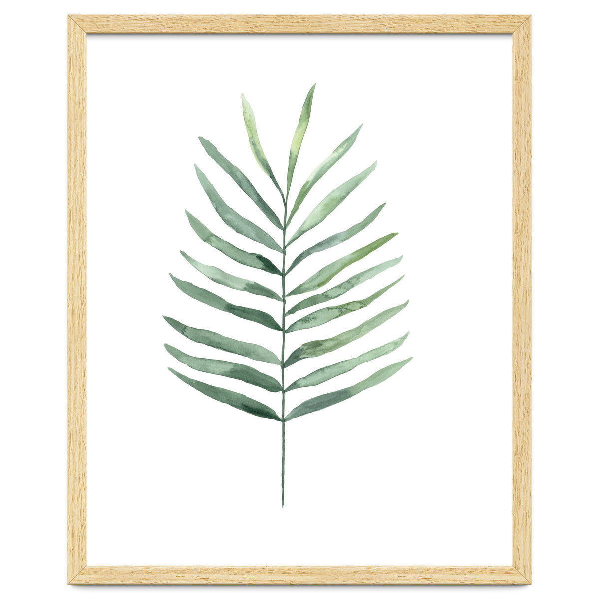 Botanical Illustration Fern