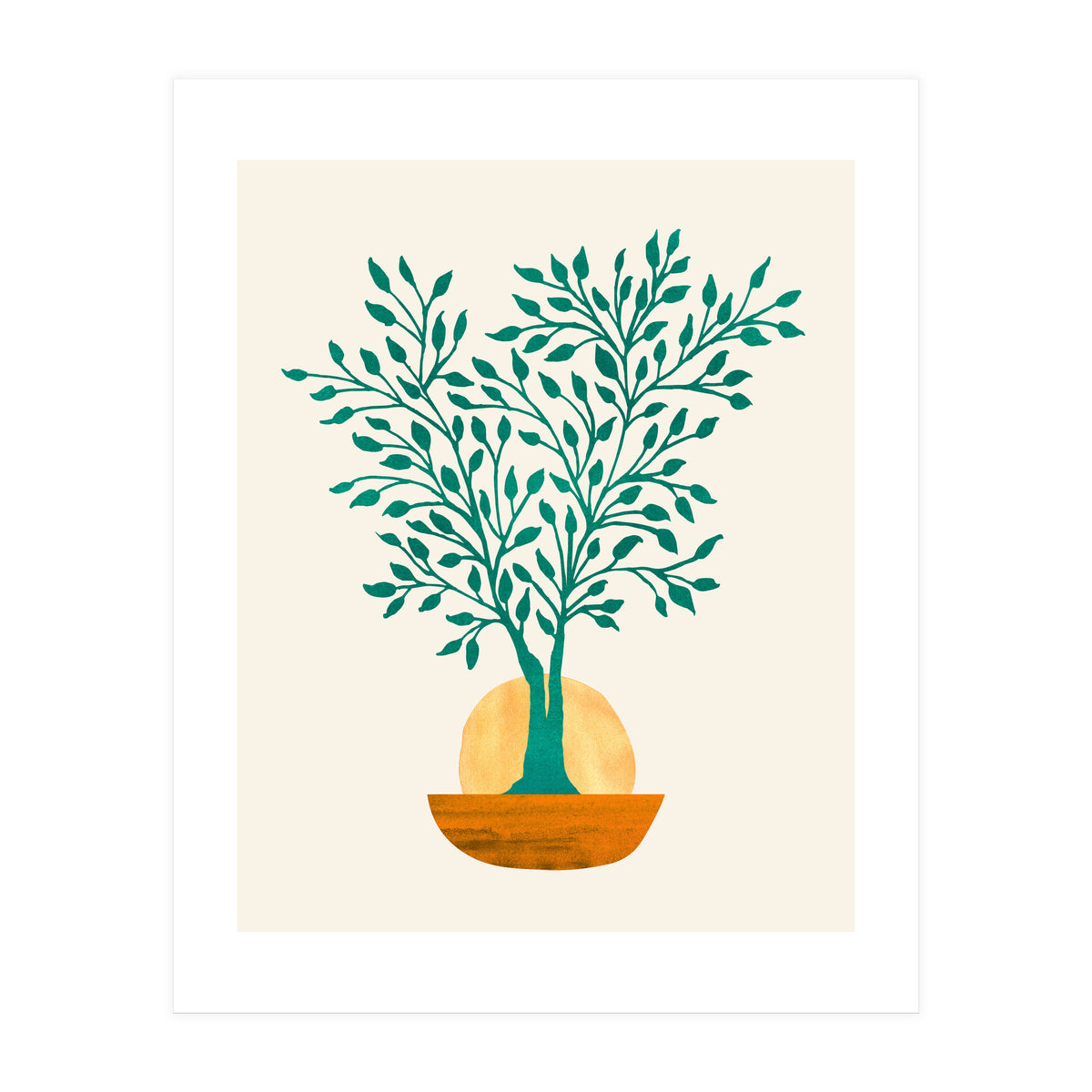Emerald Ficus Sunset (Print Only)