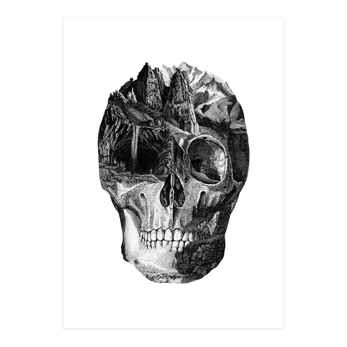 The Final Adventure (Print Only)