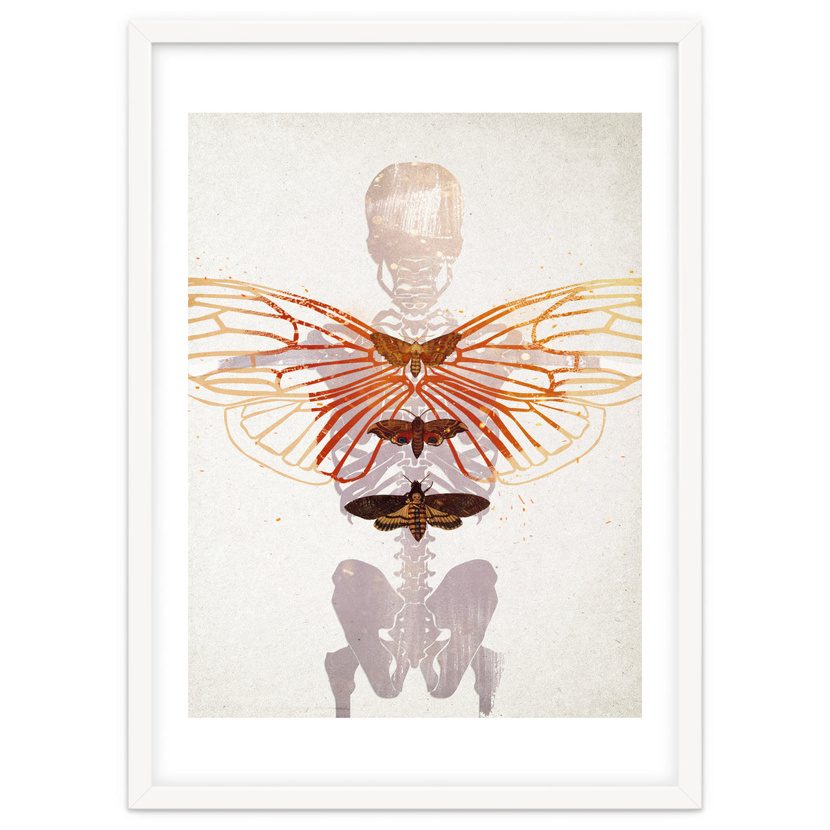 Ikarus - Like a Moth to the Flame