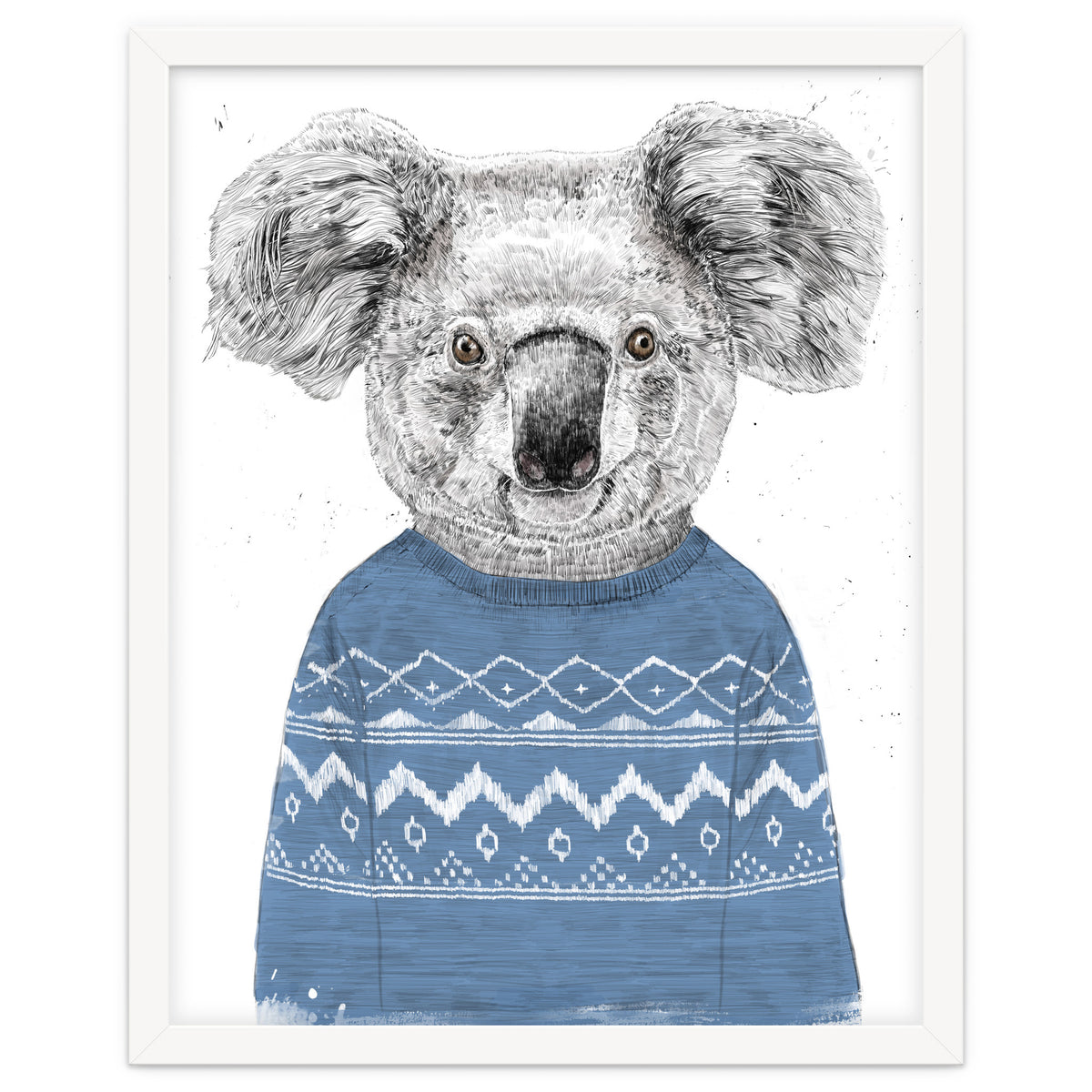 Winter Koala