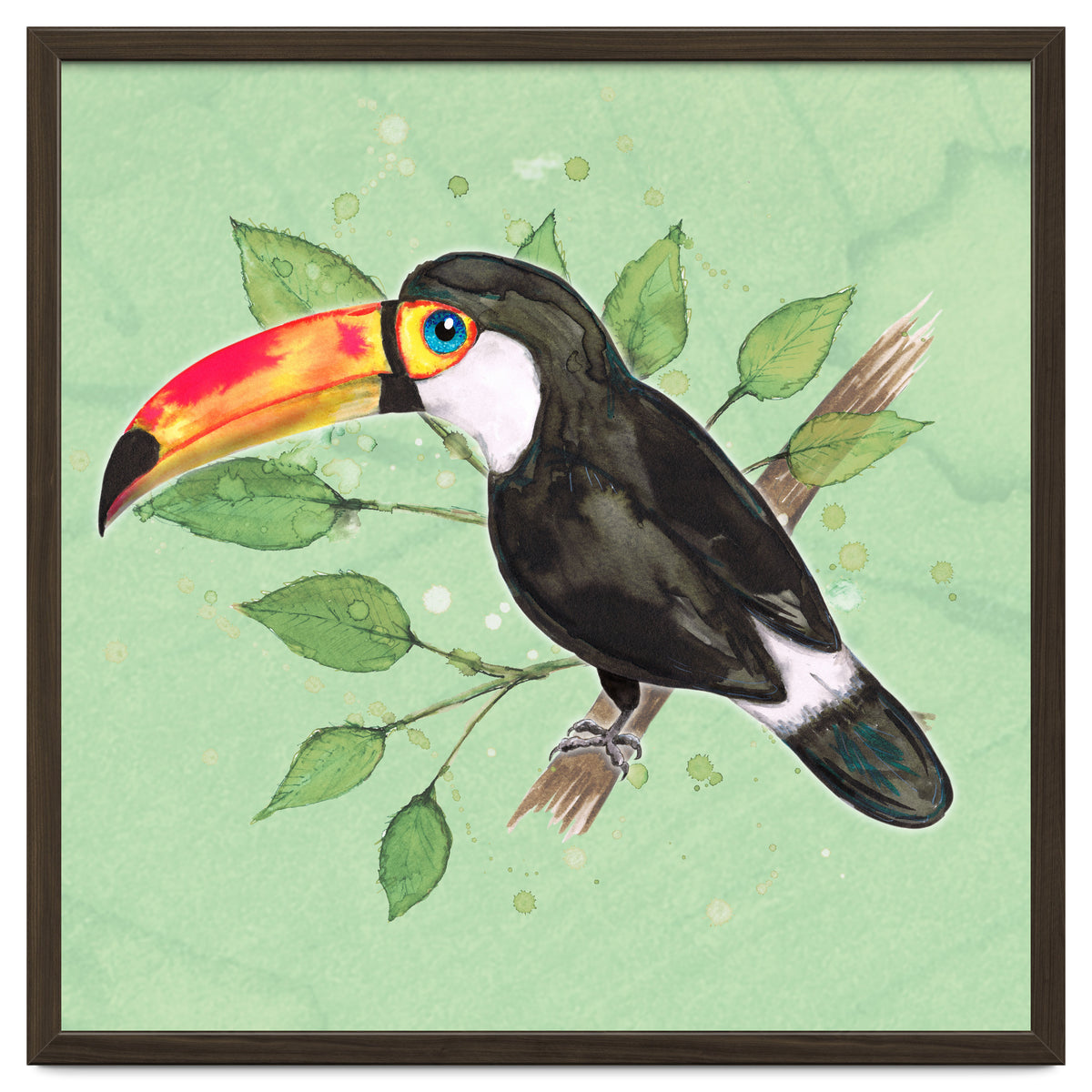 Toco toucan