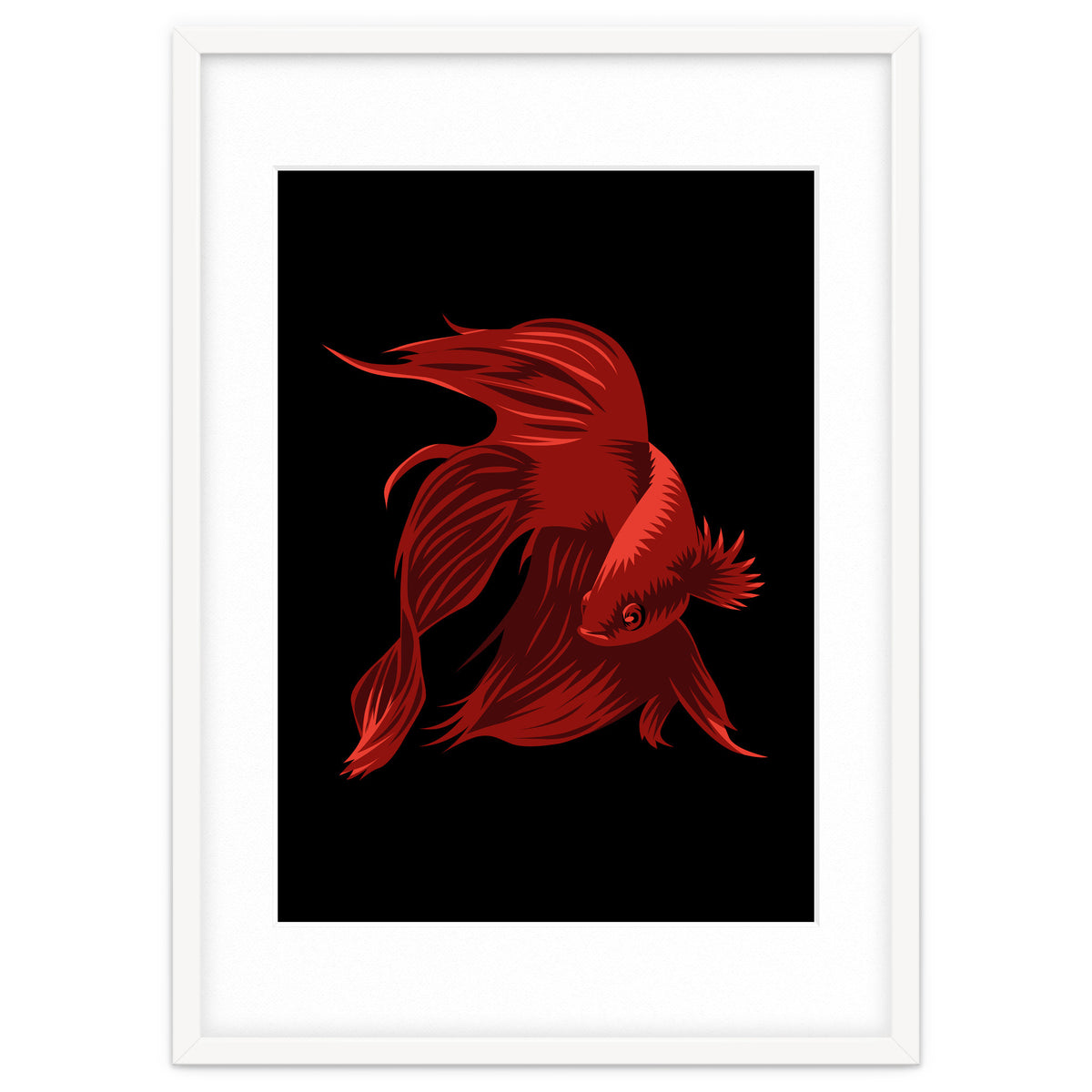 Betta