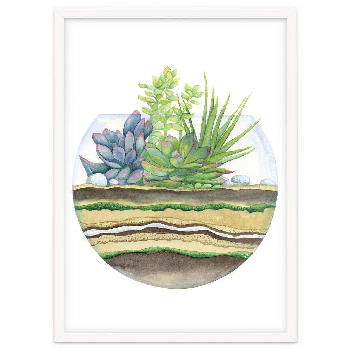 A Little Green Terrarium