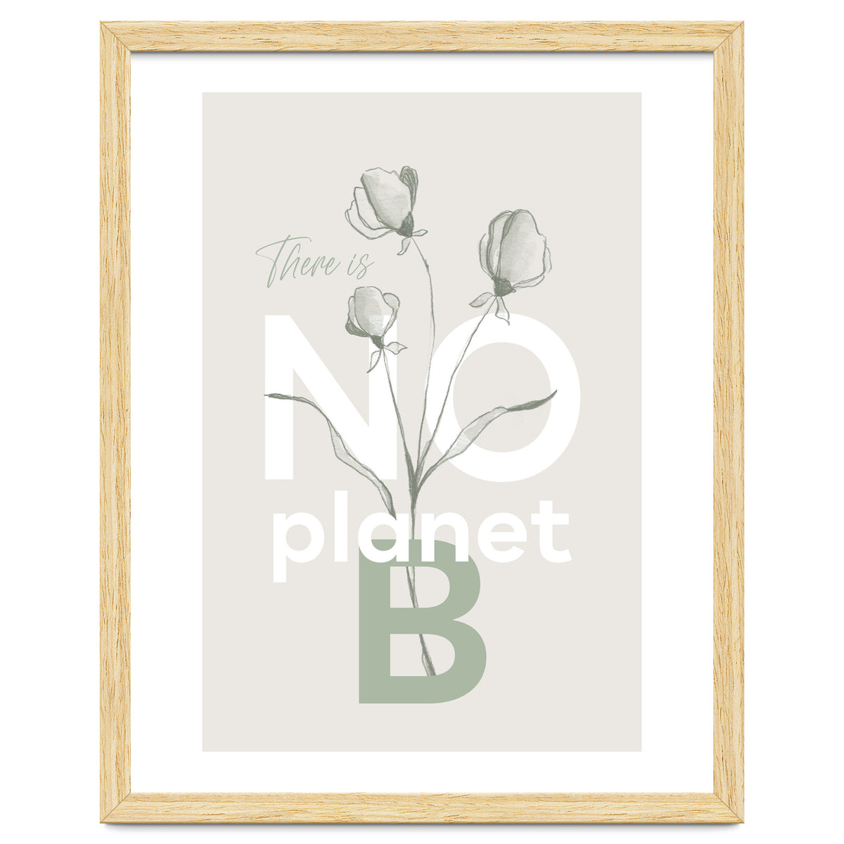 There is no planet B